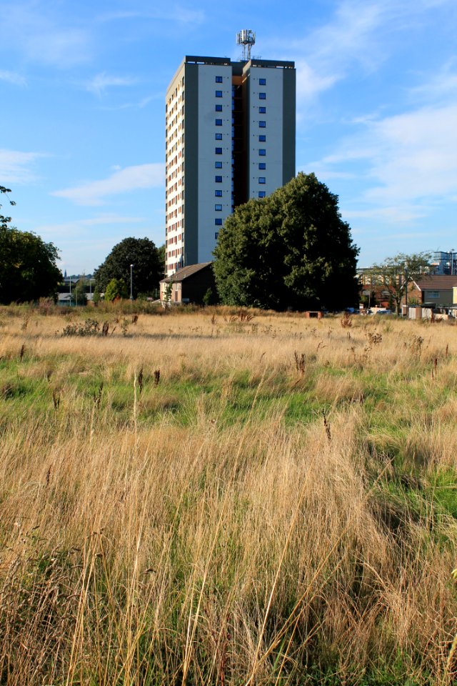 Meynell Heights 2019-08-23 (1)