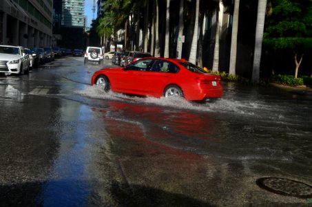 Miami proper tidal flooding 11