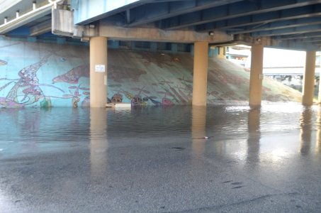 Miami proper tidal flooding 04