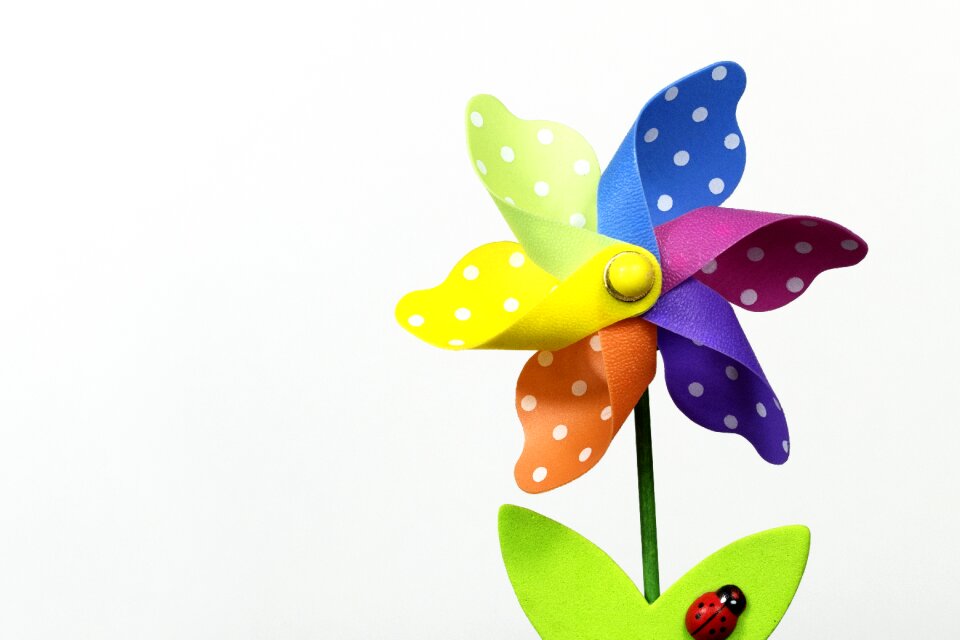 Bright colorful blooming