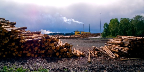 Metsä-Wood-sawmill-in-Kyrö-Finland