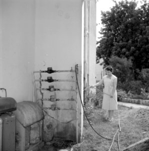 Mevrouw Wagner besproeit haar tuin met een tuinslang die verbonden is met een wa, Bestanddeelnr 255-4828