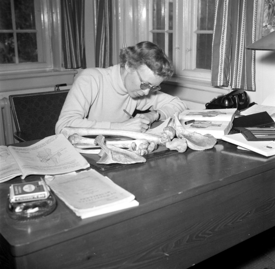 Mevrouw Svendsen schrijvend aan een bureau waarop boeken en botten liggen, Bestanddeelnr 252-8750