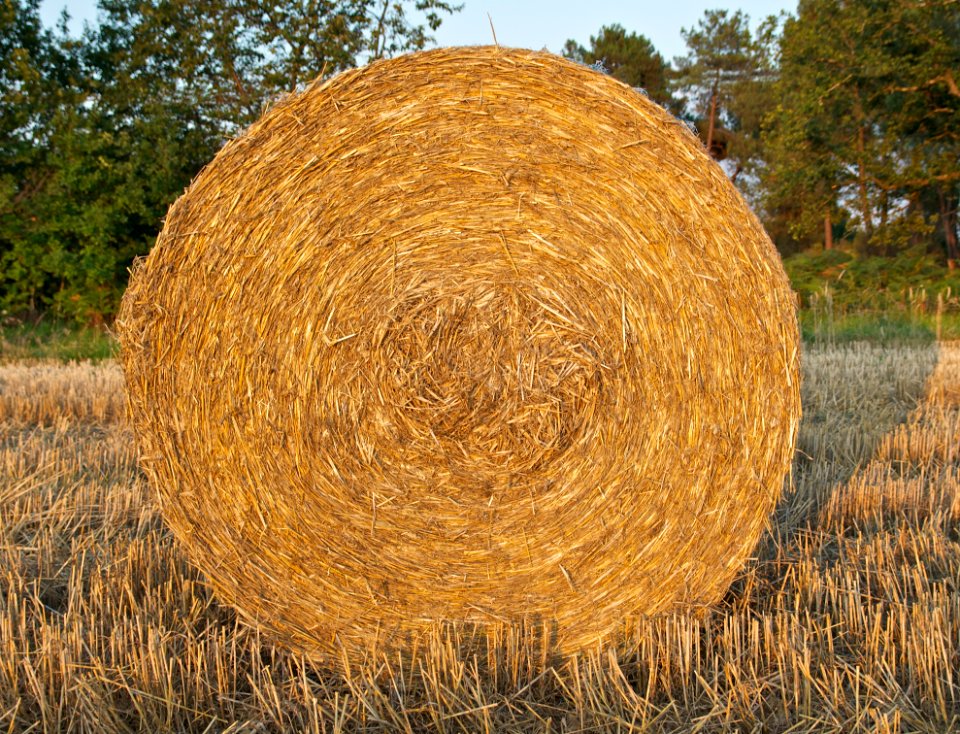 Meule paille champ Dordogne