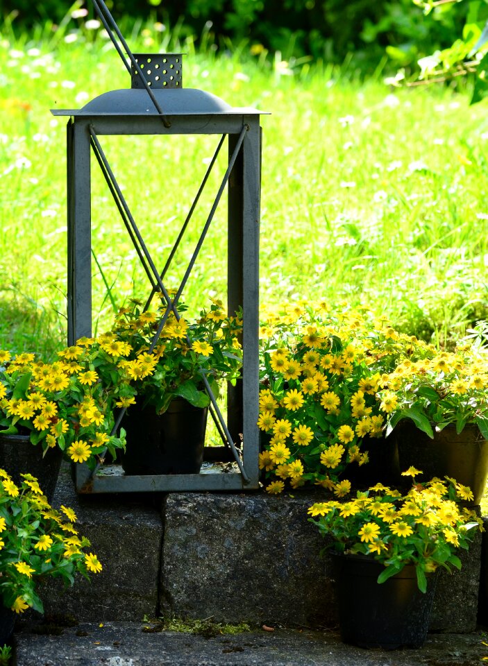 Potted plant gartendeko lantern