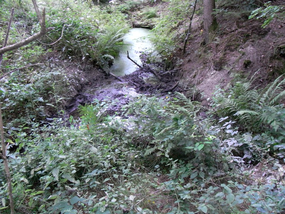 Michelbach 248482922 Hafen unter Waldweg R0019492