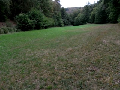 Michelbach 24848292 Wiese rechts R0019235