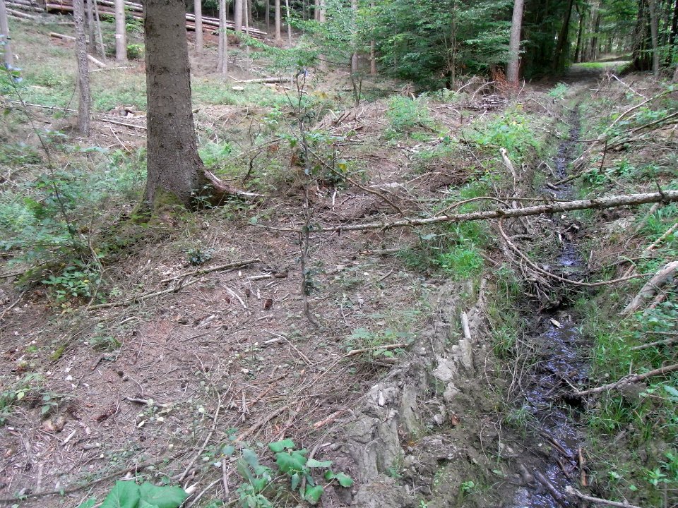 Michelbach Zufluss km 3,85 Parallelweg R0019201
