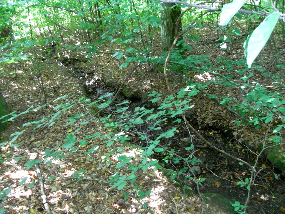 Michelbach Zufluss km 3,85 R0019174