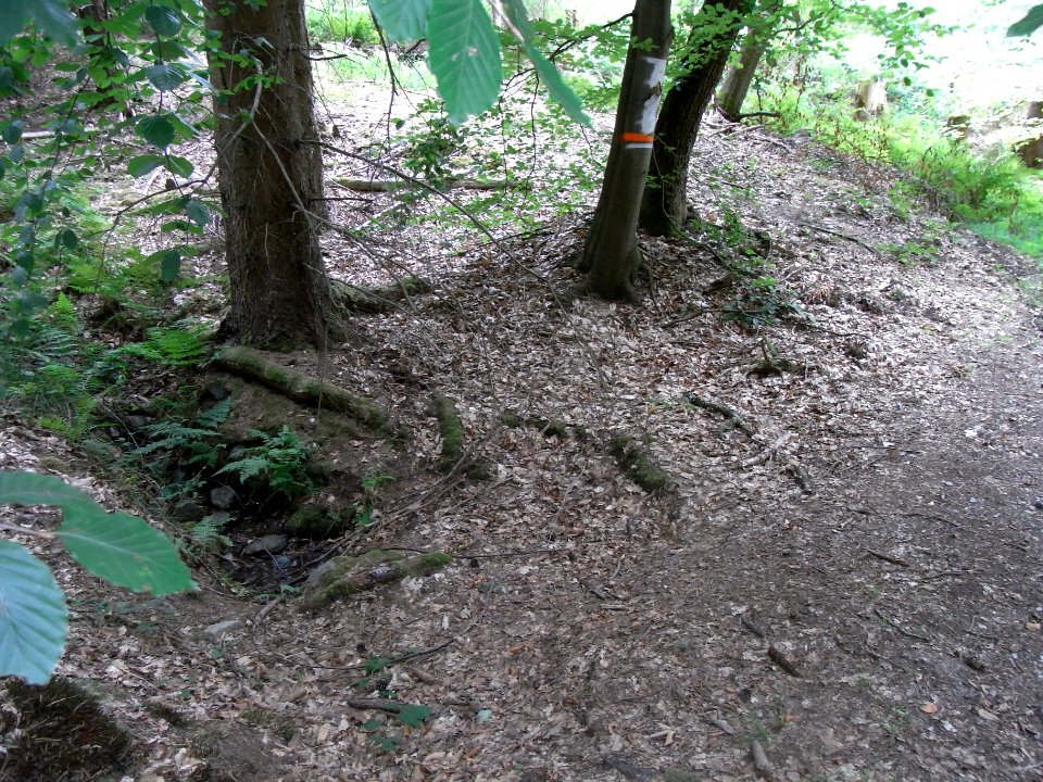 Michelbach Zufluss km 3,85 Auslass Hauptweg R0019211