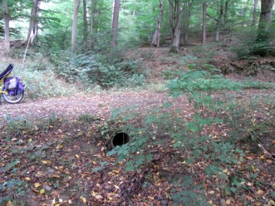 Michelbach Zufluss km 3,65 Durchlass Weg R0019039