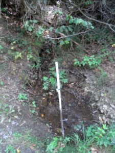 Michelbach Zufluss km 1,55 R0019090