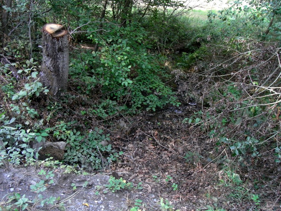 Michelbach Zufluss km 1,55 mündet R0019091