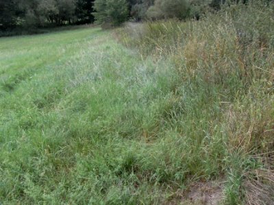 Michelbach 24848294 Eschbacher Weg vor Mündung R0018861