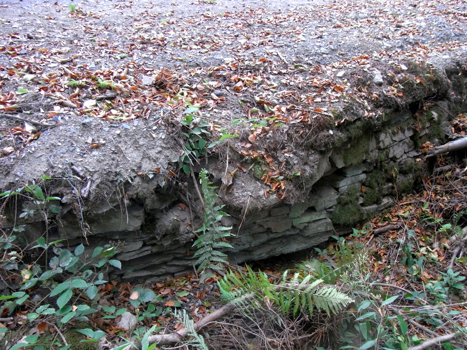 Michelbach 24848292 alter Durchlass Weg aus R0019331