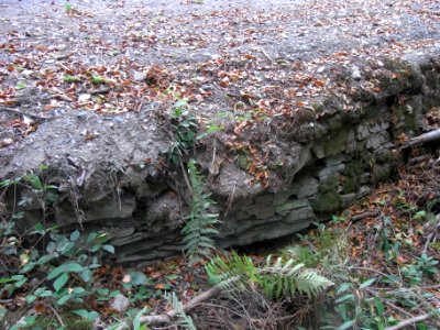 Michelbach 24848292 alter Durchlass Weg aus R0019331