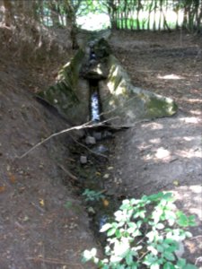 Michelbach obere Teiche Rinne von Wiese R0020169