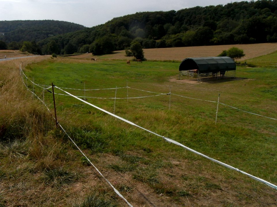 Michelbach 24848298 bei Pferdekoppel R0018540