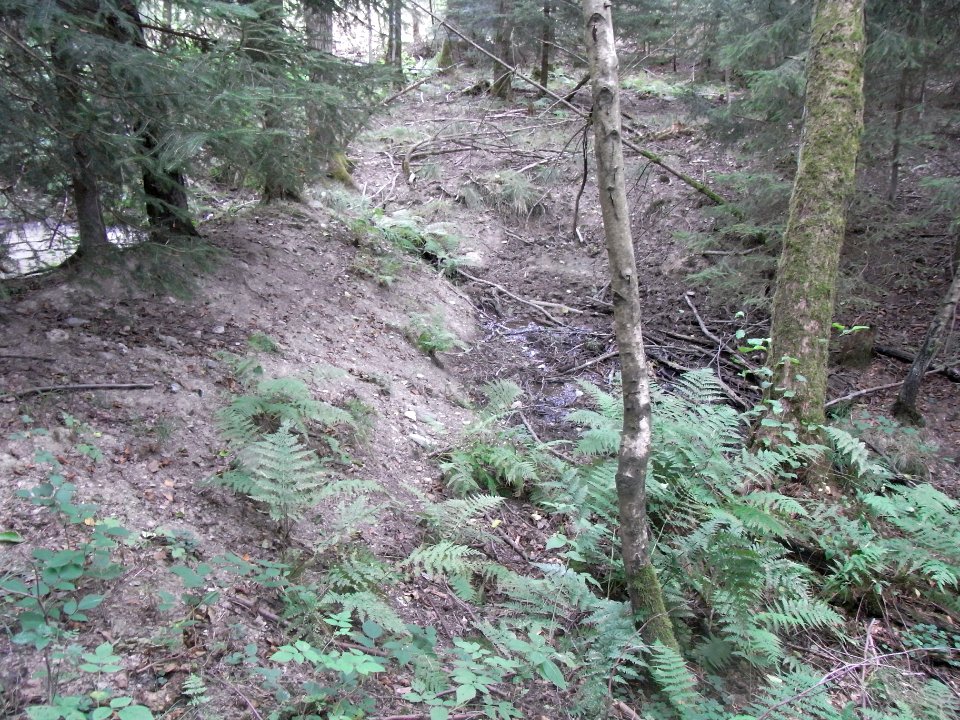 Michelbach 24848292 Damm Tümpel 2Mischwald R0019322