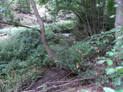 Michelbach 24848292 unterhalb Wiese Wellenhain R0019272