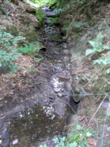 Michelbach 248482922 Befestigung und Überlauf Brunnen R0019496