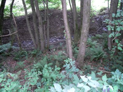 Michelbach 24848292 unterhalb Wiese Wellenhain Zufluss? R0019277