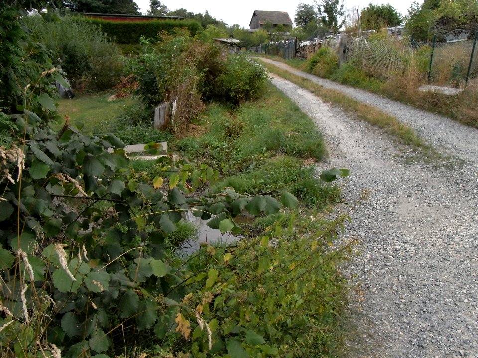 Michelbach 248482942 Ortsrand Im Suder R0019366