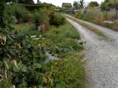 Michelbach 248482942 Ortsrand Im Suder R0019366
