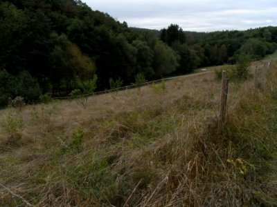 Michelbach 248482942 Bornwiesen R0019354