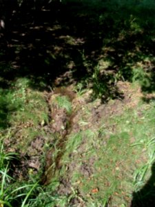 Michelbach 248482942 zur Mündung R0018916