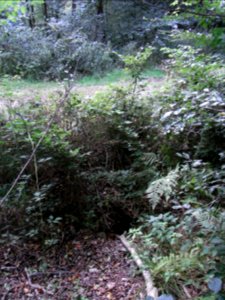 Michelbach Zufluss km 3,65 Durchlass oberer Weg R0019073