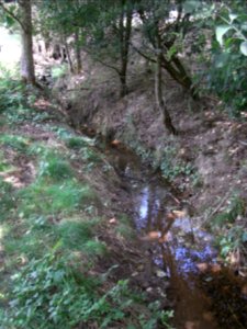 Michelbach 248482942 unter Durchlass R0018928