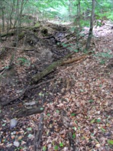 Michelbach Zufluss km 3,65 ober feuchte Stelle R0019056