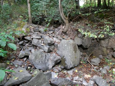 Michelbach 248482942 oberhalb Kläranlage R0018947