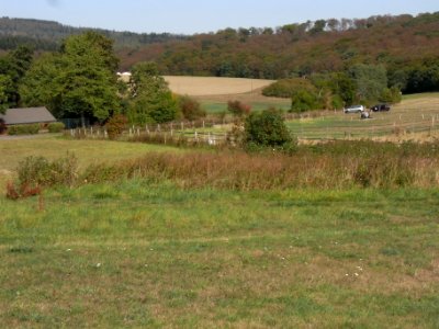 Michelbach Zufluss Im Linker Quelle R0020056