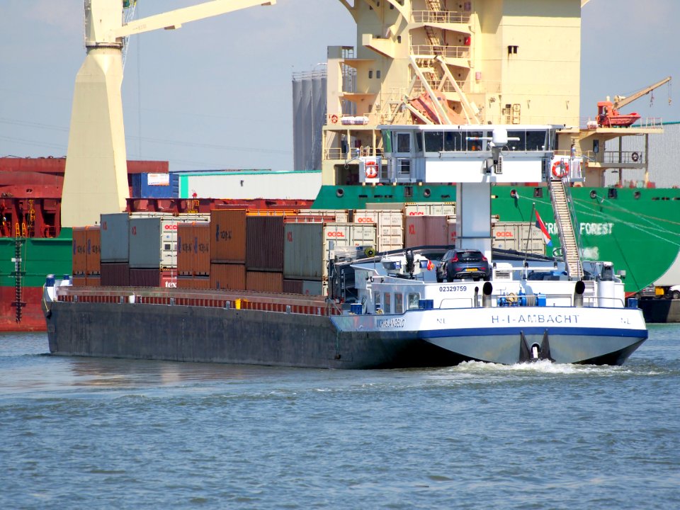 MichelAngelo - ENI 02329759, Port of Antwerp, pic4