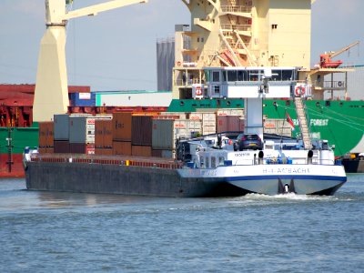 MichelAngelo - ENI 02329759, Port of Antwerp, pic4