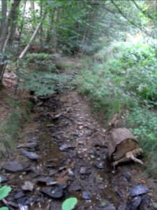 Michelbach 24848292 R0019239