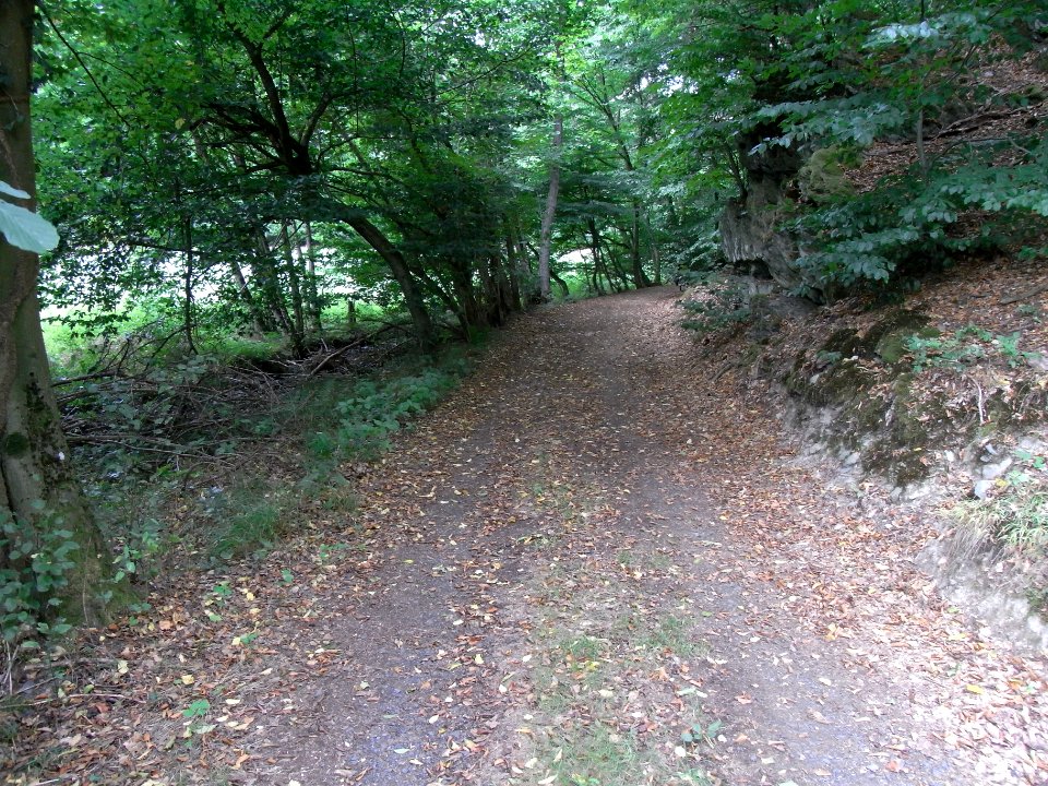 Michelbach 24848292 R0019230