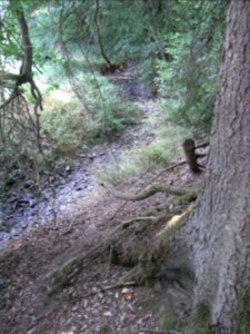 Michelbach trocken R0018807