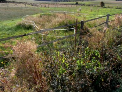 Michelbach Zufluss Im Linker Sickerquellen am Weg R0020077
