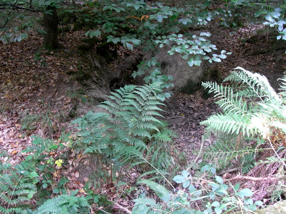 Michelbach Zufluss Schleichebach Rinne ober vierter Weg R0019857