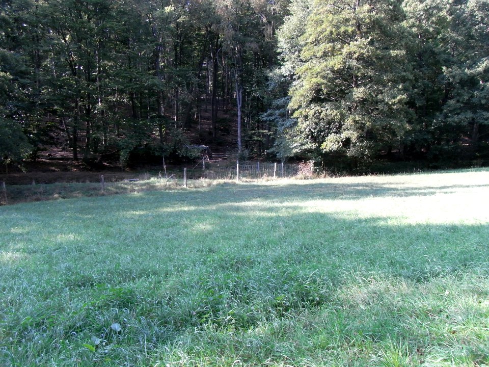 Michelbach Talhang Teiche R0020137