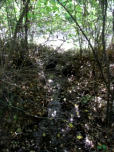 Michelbach Zufluss km 3,85 Durchlass Weg R0019176