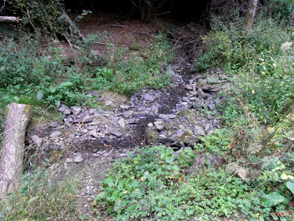Michelbach Zufluss Schleichebach mündet R0019808
