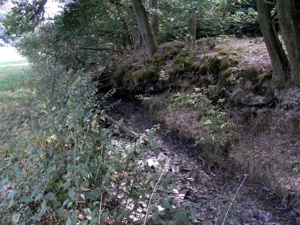 Michelbach trocken und unterspült ober Zufluss 24848294 R0018783