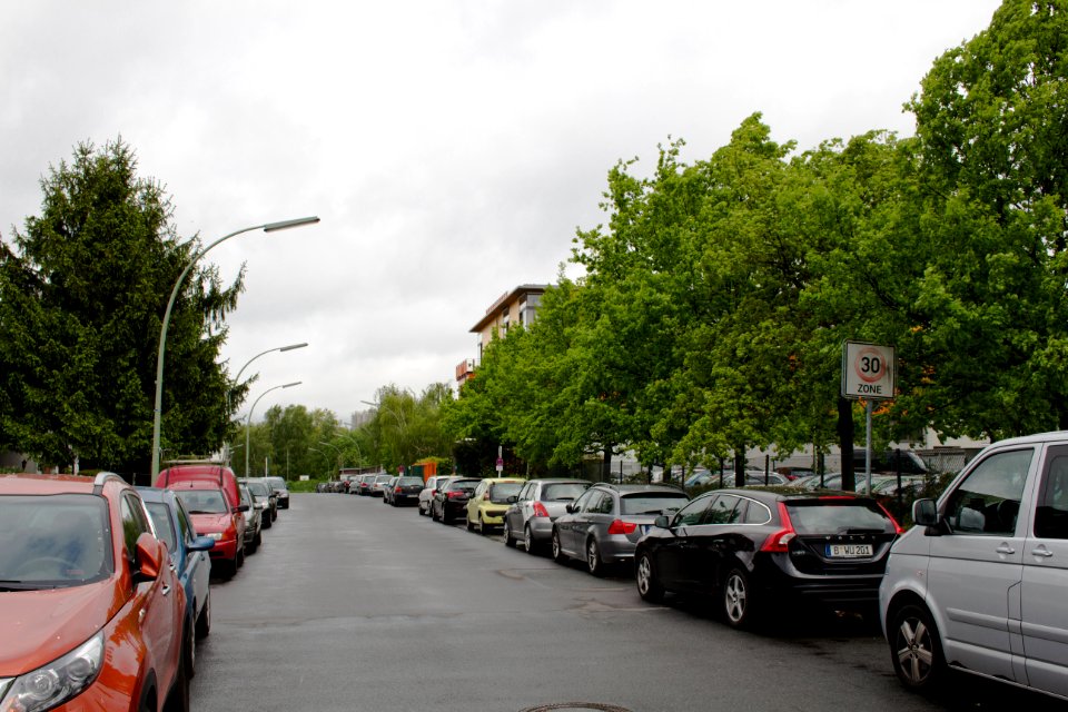 Miethepfad 20140509 4