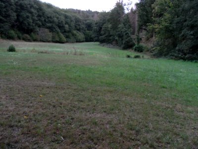 Michelbach Markbach zur Mündung R0019715
