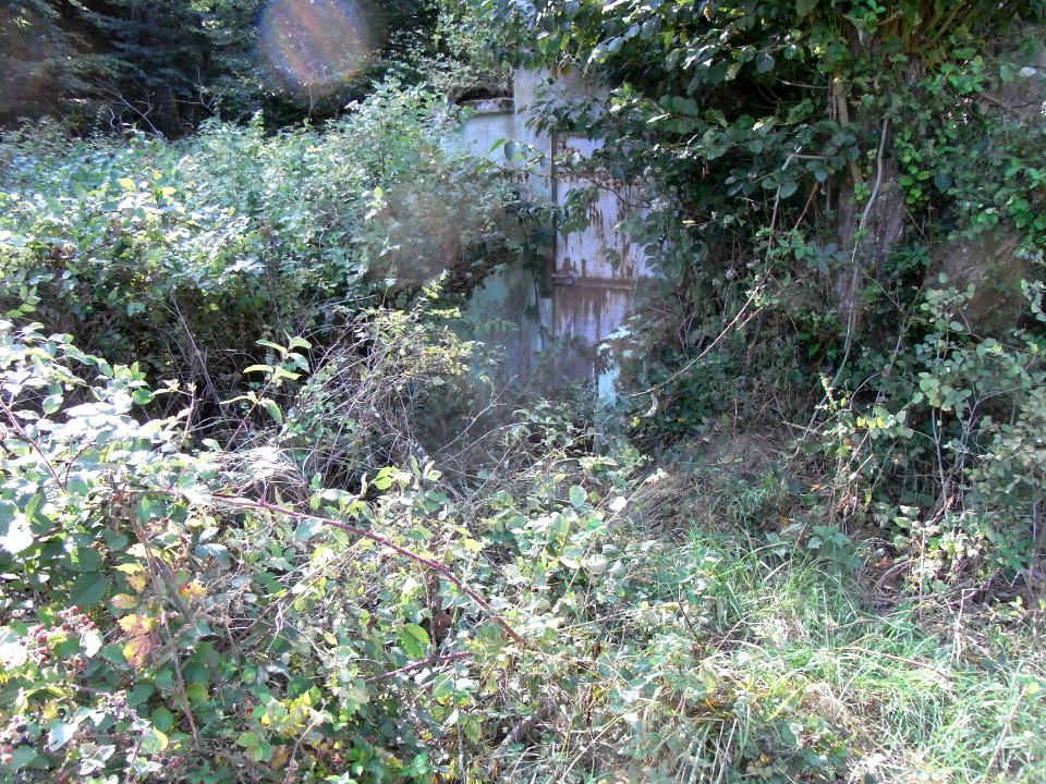 Michelbach Zufluss 24848212 Wasserwerk R0020124