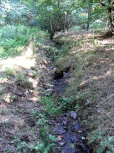 Michelbach unter Rinne obere Teiche R0020162